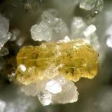 Chernovita-(Y) - Glaciar Wanni, Suiza. 1 mm. (Autor: Rewitzer Christian)
