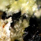 Jungita - Hagendorf, Bavaria, Alemania. 0.5 mm. (Autor: Rewitzer Christian)