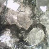 Crinoids in Fluorite,
Near Kirkby Stephen, Cumbria, England, UK.
FOV 40 x 20 mm approx (Author: nurbo)