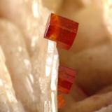 VANADINITA. mibladen, cristal de 2 mm.jpg (Autor: josminer)