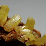 Grupo de apatitos, cada cristal tiene 3 mm aprox. (Regalo de Juan Peña). la procedencia en estos momentos no la recuerdo (es el sueño) (Autor: nimfiara)