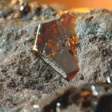 jarosita. el arteal, cristal de 2 mm.jpg (Autor: josminer)