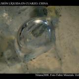 Inclusión líquida en Cuarzo. Tamaño 1 mm aprox. China (Autor: Juan de Laureano)