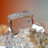 FLUORITA. berbes. cristal de 2 mm.jpg (Autor: josminer)
