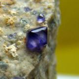 Fluorita, Uxes (La Coruña). Cristal mayor 1,5 mm. (Autor: nimfiara)
