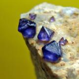 Fluorita, Uxes (La Coruña). Cristal mayor 1,5 mm. (Autor: nimfiara)