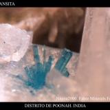 Cavansite.jpg (Autor: Juan de Laureano)