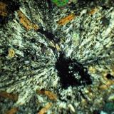 Cristales de Sanidina con crecimiento radial.
Polarizadores cruzados. (Autor: Vinoterapia)