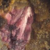 Eritrina 
Mina La Sierre, Carreña, Cabrales, Asturias, España
&gt;3mm (Autor: Anonymous)