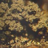 Drusa de esferoides de goethita (abaixo de 0,1mm)- Morro das Balas, Formiga-MG (Autor: Anisio Claudio)