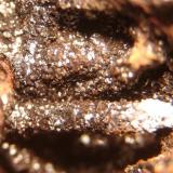Estalactita de goethita/hematita (1cm) en crosta ferruginosa. Morro das Balas, Formiga, Minas Gerais- Brasil (Autor: Anisio Claudio)