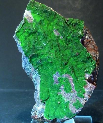 Conicalcita [Conichalcite]<br />Mina Gold Hill, Gold Hill, Distrito Gold Hill, Condado Tooele, Utah, USA<br />7 x 5 cm.<br /> (Autor: Felipe Abolafia)