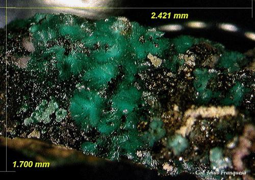 Mahnertita.<br />Mina Feliz Encuentro, Sierra Almagrera, Cuevas del Almanzora, Comarca Levante Almeriense, Almería, Andalucía, España<br />2´42 m 1´70 mm.<br /> (Autor: Jesus Franquesa Baucells)