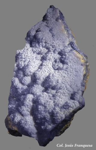 Fluorita.<br />Pedrera Balmaña (Pedrera d'en Balmanya), Torrent del Marmoló, Tossa de Mar, Comarca La Selva, Gerona / Girona, Cataluña / Catalunya, España<br />65x34 mm.<br /> (Autor: Jesus Franquesa Baucells)