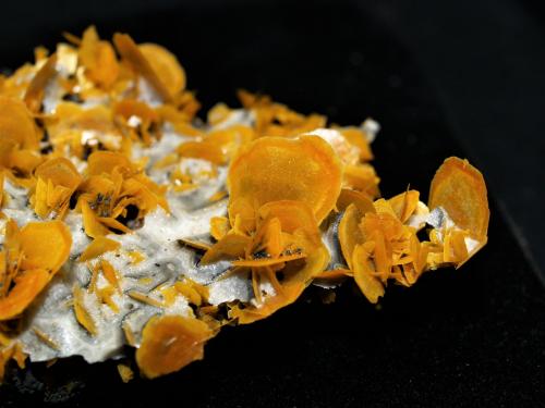 Wulfenite<br />Xinjiang Uyghur Autonomous Region, China<br /><br /> (Author: Joseph DOliveira)