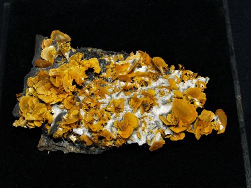 Wulfenite<br />Xinjiang Uyghur Autonomous Region, China<br />10x9.2x2 cm''s<br /> (Author: Joseph DOliveira)