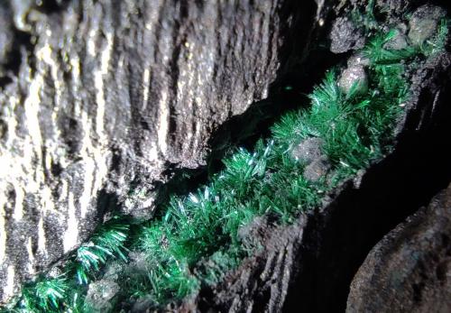 Brochantita<br />Mina La Estrella, Barranco del Jaroso, Sierra Almagrera, Cuevas del Almanzora, Comarca Levante Almeriense, Almería, Andalucía, España<br />Cristales entre 1mm y 1,5mm<br /> (Autor: srm13151)