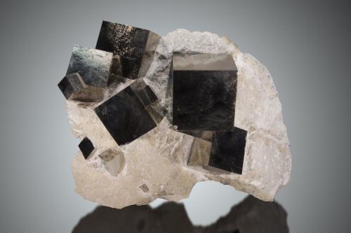 Pirita<br />Mina Ampliación a Victoria, Sierra de Alcarama, Navajún, Comarca Cervera, La Rioja, España<br />20cm dimension mayor, cristales hasta 5cm<br /> (Autor: Raul Vancouver)