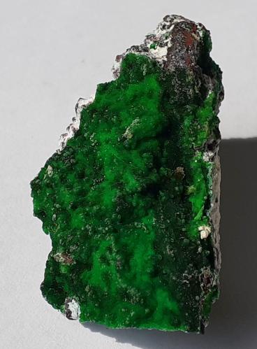 Conichalcite<br />Gold Hill Mine, Gold Hill, Gold Hill District, Tooele County, Utah, USA<br />4 x 2 cm<br /> (Author: Volkmar Stingl)
