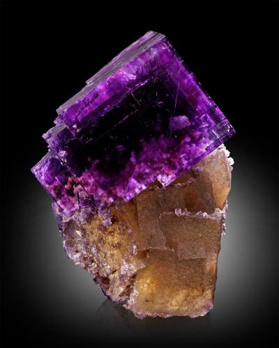 Fluorite<br />Annabel Lee Mine, Harris Creek Sub-District, Hardin County, Illinois, USA<br />6 x 5 x 8.5 cm / main crystal: 6.5 cm<br /> (Author: MIM Museum)