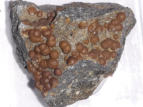Siderite (variety sphärosiderite)<br />Trentham Falls, Trentham, Hepburn Shire, Victoria, Australia<br />2 x 1,5 cm<br /> (Author: Volkmar Stingl)