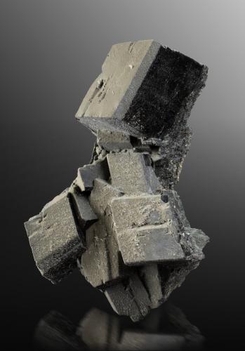 Hedenbergite<br />Malmberget, Gällivare, Norrbotten, Lappland Province, Sweden<br />37 x 31 x 53 cm / main crystal: 29.0 cm<br /> (Author: MIM Museum)