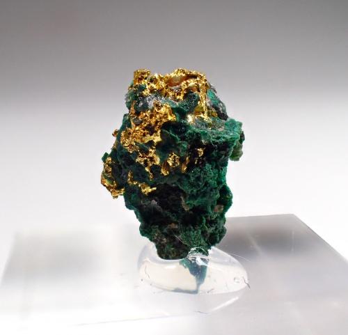 Gold, Malachite<br />Khorixas area, Kunene Region, Namibia<br />12 mm x 8 mm x 6mm<br /> (Author: Don Lum)