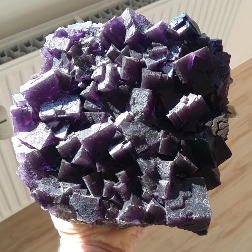 Fluorite, Calcite<br />Cave-in-Rock, Sub-Distrito Cave-in-Rock, Condado Hardin, Illinois, USA<br />Specimen size 18 x 18 cm, largest fluorite cubes 3 cm<br /> (Author: Tobi)