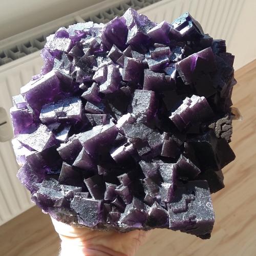 Fluorite, Calcite<br />Cave-in-Rock, Cave-in-Rock Sub-District, Hardin County, Illinois, USA<br />Specimen size 18 x 18 cm, largest fluorite cubes 3 cm<br /> (Author: Tobi)