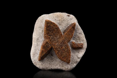 Staurolite<br />Pestsovye Keivy, Keivy Mountains, Kola Peninsula, Murmanskaja Oblast, Northern Region, Russia<br />3.5 x 4 x 1.5 cm / main crystal: 3.1 cm<br /> (Author: MIM Museum)