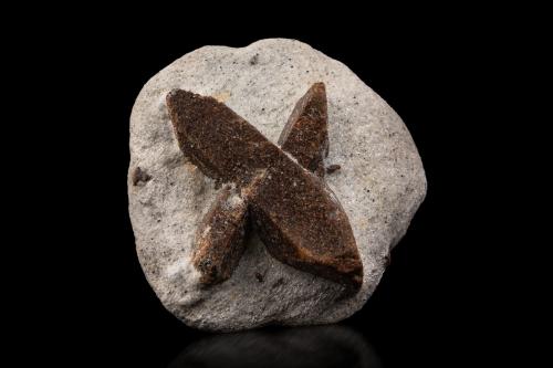 Staurolite<br />Pestsovye Keivy, Keivy Mountains, Kola Peninsula, Murmanskaja Oblast, Northern Region, Russia<br />7.5 x 7.5 x 4 cm / main crystal: 6.6 cm.<br /> (Author: MIM Museum)