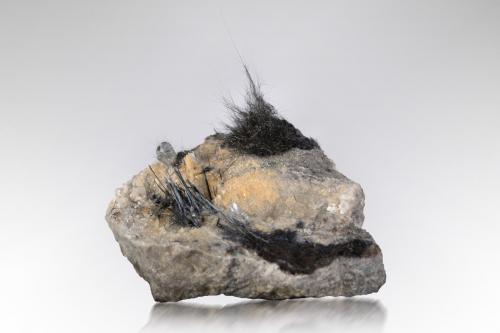 Rouxelite<br />Tunnel di Sant'Olga, Monte Arsiccio Mine, Sant'Anna (Sant'Anna di Stazzema), Apuan Alps, Stazzema Municipality, Lucca Province, Tuscany, Italy<br />6 x 4 x 4.5 cm / main crystal: 1.0 cm<br /> (Author: MIM Museum)