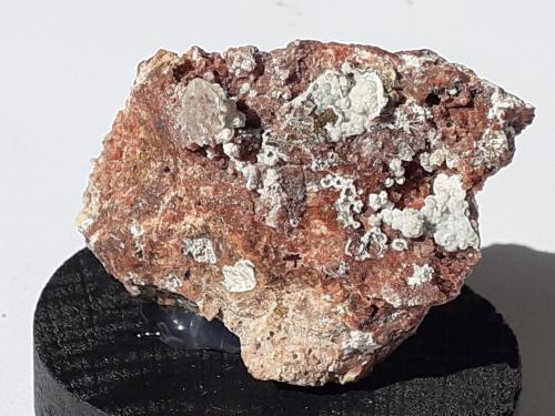 Quartz, Nordstrandite<br />Terlano (Terlan), Bolzano Province, Trentino-Alto Adige (Trentino-Südtirol), Italy<br />3 x 3 cm<br /> (Author: Volkmar Stingl)