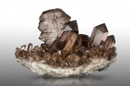 Quartz<br />Feldschijen Glacier, Göscheneralp, Göschenen Valley, Göschenen, Reuss Valley, Uri, Switzerland<br />17 x 10 x 11 cm / main crystal: 7.0 cm<br /> (Author: MIM Museum)