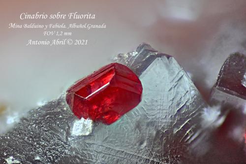 Cinabrio<br />Fabiola Mine (Balduino and Fabiola Mine), Albuñol, Comarca Costa Granadina, Granada, Andalusia, Spain<br />1 o 2 mm<br /> (Autor: Antonio Abril)