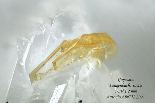 Goyazita<br />Cantera Lengenbach, Fäld, Valle Binn (Binntal), Wallis (Valais), Suiza<br />3 mm<br /> (Autor: Antonio Abril)