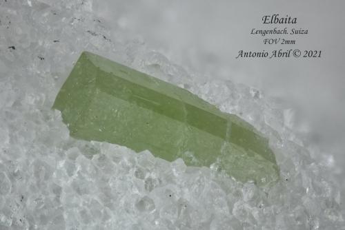 Elbaita<br />Cantera Lengenbach, Fäld, Valle Binn (Binntal), Wallis (Valais), Suiza<br />2 mm<br /> (Autor: Antonio Abril)