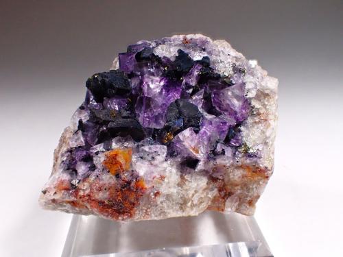 Covellite, Fluorite<br />Clara Mine, Rankach Valley, Oberwolfach, Wolfach, Black Forest, Baden-Württemberg, Germany<br />62 mm x 59 mm x 42 mm<br /> (Author: Don Lum)