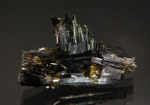 Epidote<br />Knappenwand, Knappenwand area, Untersulzbach Valley, Hohe Tauern, Salzburg, Austria<br />6.0 x 3.6 x 2.0 cm<br /> (Author: Michael Shaw)