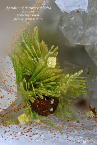 'Agardita' ['Agardite'] y Farmacosiderita [Pharmacosiderite]<br />Clara Mine, Rankach Valley, Oberwolfach, Wolfach, Black Forest, Baden-Württemberg, Germany<br />1,4 mm.<br /> (Autor: Antonio Abril)