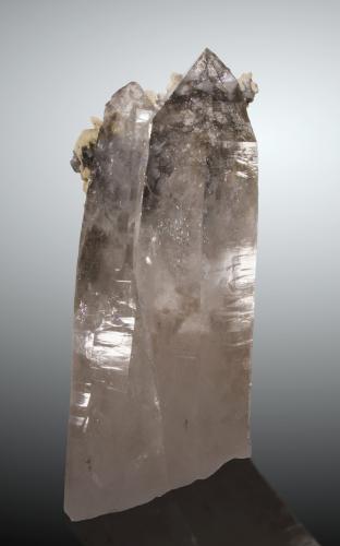 Cuarzo, fluorapatito, siderita, turmalina<br />Minas da Panasqueira, Aldeia de São Francisco de Assis, Covilhã, Castelo Branco, Cova da Beira, Centro, Portugal<br />18 x 7cm<br /> (Autor: Raul Vancouver)