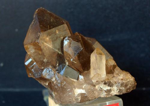 Cuarzo con Rutilo<br />Minas Gerais, Brasil<br />7 x 6 cm<br /> (Autor: Pedro Antonio)