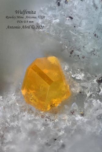 Wulfenita<br />Mina Rowley, Theba, Distrito Painted Rock, Montes Painted Rock, Condado Maricopa, Arizona, USA<br />0.9 mm<br /> (Autor: Antonio Abril)