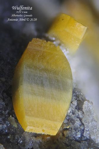 wulfenita<br />Minas del Barranco del Humo, Albuñuelas, Comarca Valle de Lecrín, Granada, Andalucía, España<br />4 mm<br /> (Autor: Antonio Abril)