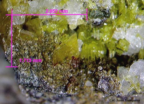 Titanita.<br />Acedo Claim (Juanona Quarry), Juanona, Antequera, Comarca de Antequera, Málaga, Andalusia, Spain<br />2´85 x 1´71 mm.<br /> (Autor: Jesus Franquesa Baucells)