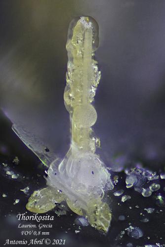 Thorikosita<br />Lavrion, Lavrion Mining District, Attikí (Attica) Prefecture, Greece<br />0.8 mm<br /> (Autor: Antonio Abril)