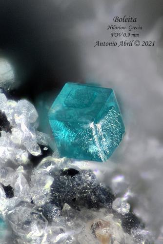 Boleita<br />Hilarion Mine, Hilarion area, Kamariza Mines, Agios Konstantinos, Lavrion Mining District, Attikí (Attica) Prefecture, Greece<br />0.9 mm<br /> (Autor: Antonio Abril)
