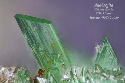 Annabergita<br />Hilarion Mine, Hilarion area, Kamariza Mines, Agios Konstantinos, Lavrion Mining District, Attikí (Attica) Prefecture, Greece<br />1.5 mm<br /> (Autor: Antonio Abril)