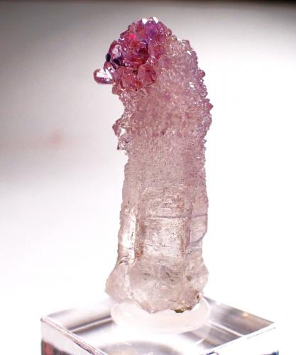 Quartz (variety amethyst scepter)<br />Kakamunurle Quarry, Karur District, Tamil Nadu, India<br />33 mm x 14 mm x 12 mm<br /> (Author: Don Lum)