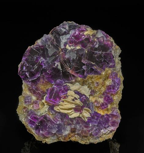 Fluorite, Baryte<br />Berbes mining area, Berbes, Ribadesella, Comarca Oriente, Principality of Asturias (Asturias), Spain<br />10.8 x 8.9 cm<br /> (Author: am mizunaka)